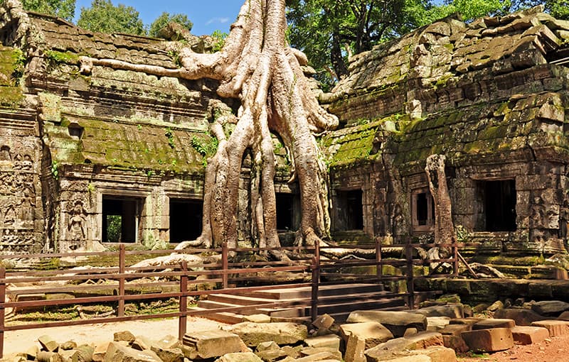 Ta Prohm Temple, Angkor Wat, Siem Reap, Cambodia - 1-Day Tour - Angkor Wat Adventures